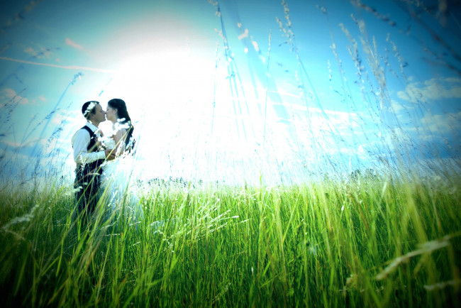 Обои картинки фото разное, мужчина женщина, трава, поцелуй, пара, невеста, жених, небо