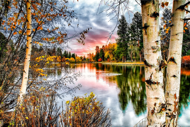 Обои картинки фото природа, реки, озера, облака, небо, осень, кусты, деревья, река