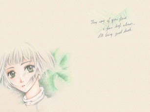 Картинка аниме clover