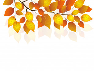 Картинка векторная+графика природа twigs белый фон осень листья веточка autumn white background leaves