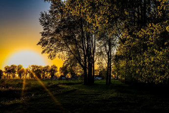 Картинка природа восходы закаты трава деревья