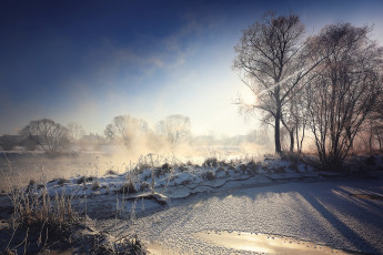 Картинка природа зима утро