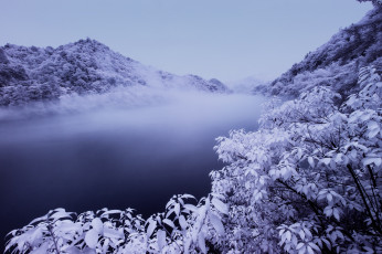 Картинка природа реки озера деревья снег winter river snow зимний пейзаж река зима view trees