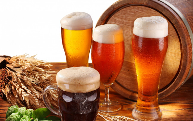 Обои картинки фото еда, напитки,  пиво, кружка, стол, бочка, бокал, хмель, пена, белый, фон, стаканы, колосья, пиво