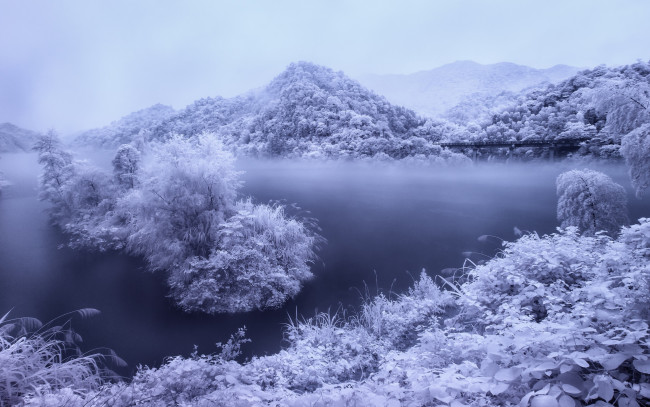 Обои картинки фото природа, реки, озера, trees, зимний, пейзаж, snow, river, winter, снег, деревья, река, зима, view