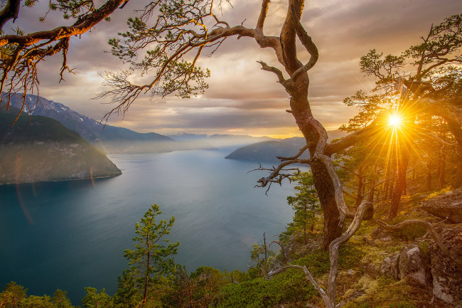 Обои картинки фото природа, восходы, закаты, закат, камни, лучи, солнца, скалы, норвегия, фьорды, деревья, горы, залив
