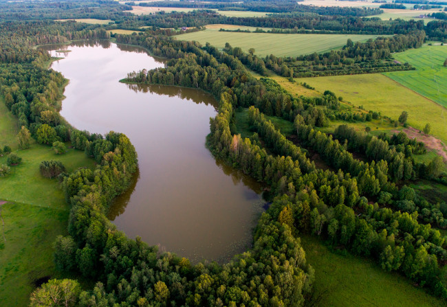 Обои картинки фото природа, реки, озера, поля, lake, kuuni, озеро, вид, сверху, эстония, деревья, лес