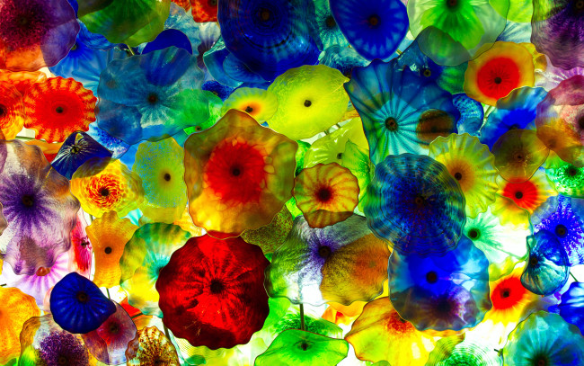 Обои картинки фото разное, компьютерный дизайн, медузы, цвета