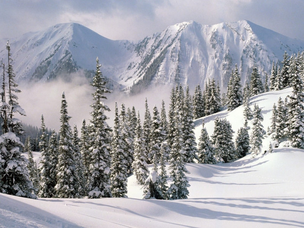 Обои картинки фото природа, зима, горы, тени, ели, снег