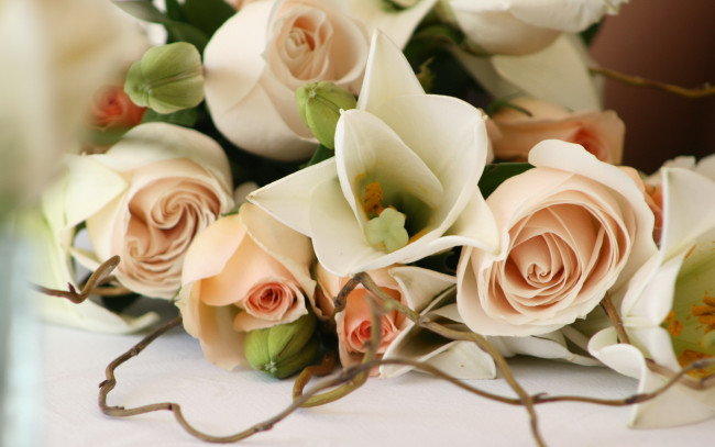 Обои картинки фото цветы, разные, вместе, романтика, красиво, розы