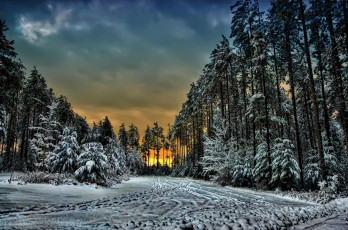 Картинка природа зима облака закат деревья следы канада снег лес онтарио