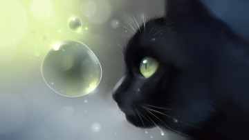 Картинка рисованное животные +коты пузырь черный кот