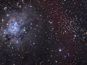 Картинка ngc 7129 7142 космос галактики туманности