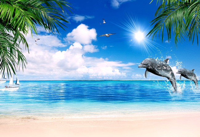 Обои картинки фото разное, компьютерный, дизайн, парусник, чайки, море, пальмы, дельфины