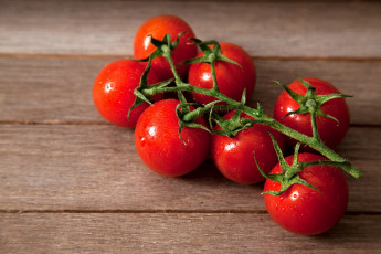 Картинка еда помидоры красный томаты ветка