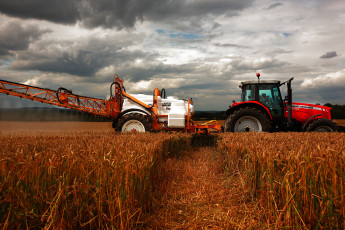 Картинка техника тракторы поле