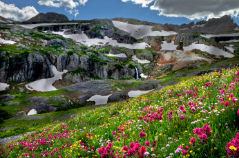 Картинка природа луга пейзаж горы луг цветы