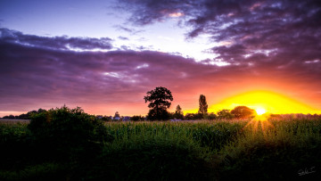 Картинка природа восходы закаты поле вечер солнце деревья трава
