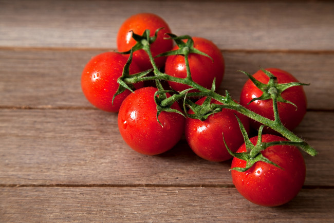 Обои картинки фото еда, помидоры, красный, томаты, ветка