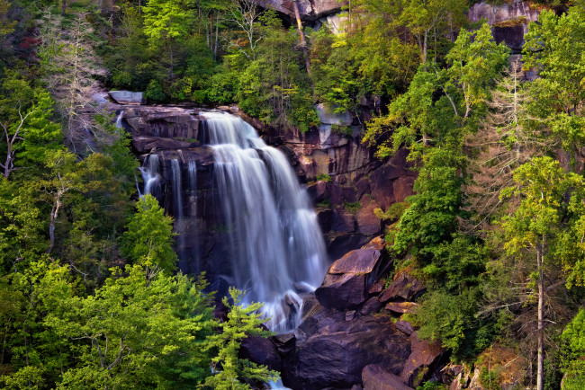 Обои картинки фото whitewater, falls, природа, водопады, деревья, поток, скалы