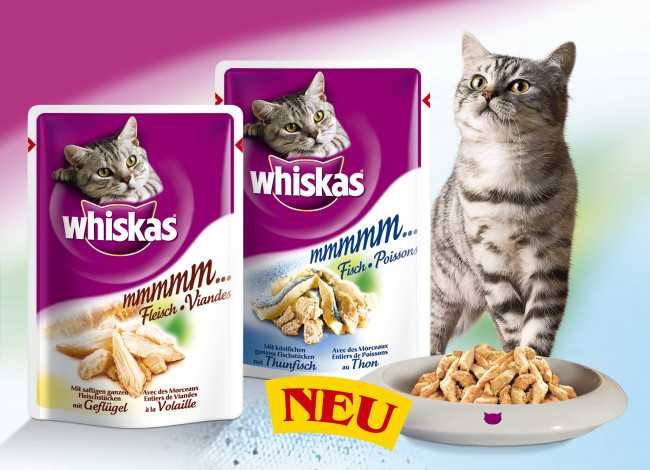 Обои картинки фото бренды, whiskas, корм, кот