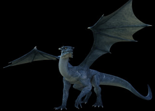 Картинка 3д+графика существа+ creatures дракон крылья фон