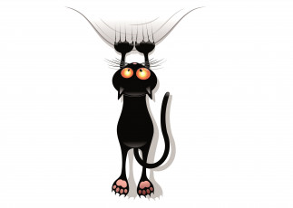 Картинка векторная+графика животные взгляд котик черный фон хвост царапины когти лапы