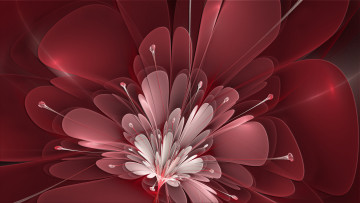 Картинка 3д+графика цветы+ flowers фон узор цвета