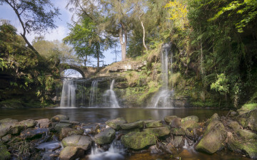 Картинка природа водопады деревья лес потоки мост водопад камни вода