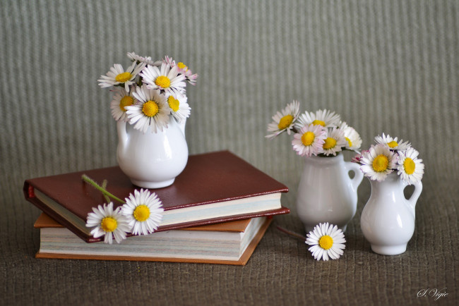 Обои картинки фото цветы, ромашки, ваза, книги
