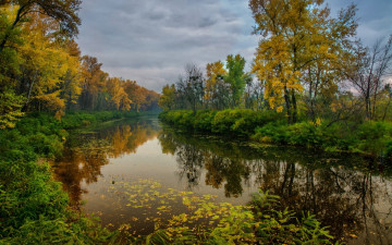 Картинка природа реки озера река осенние листья лес деревья михаил msh осень берег