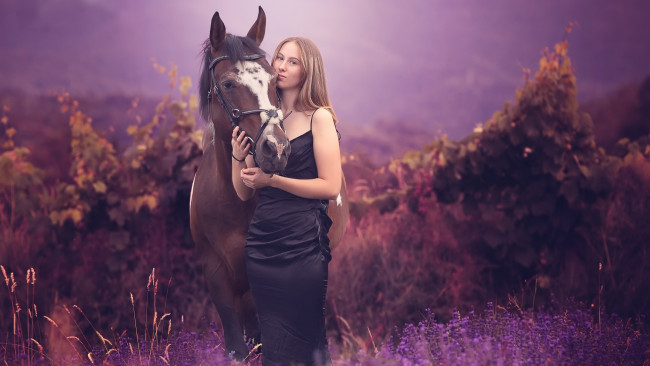 Обои картинки фото девушки, - блондинки,  светловолосые, блондинка, лошадь, платье