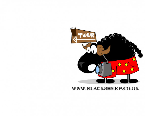 Обои картинки фото бренды, black, sheep