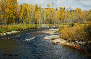 Картинка природа реки озера осень березы река