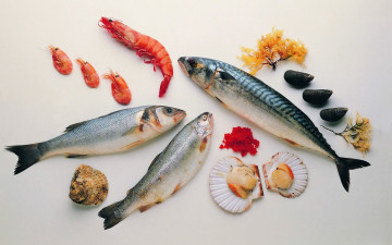 Картинка еда рыба морепродукты суши роллы устрицы креветки скумбрия