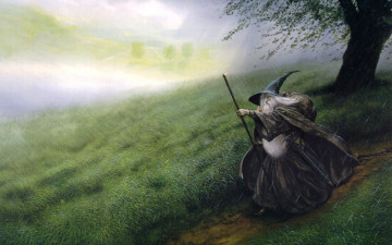 Картинка фэнтези lord of the rings трава тропинка дед волшебник дождь дерево