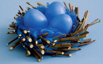Картинка праздничные пасха гнёздышко ветки синие яйца крашенки
