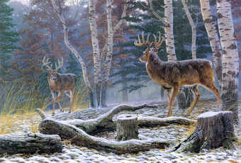 Картинка confrontation рисованные al agnew первый снег олени осень
