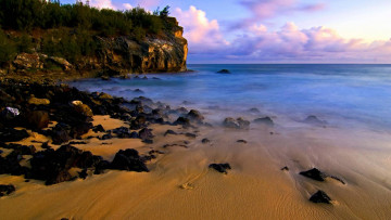 обоя природа, побережье, скалы, деревья, камни, океан, берег, мыс, пляж