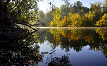 Картинка природа реки озера покой река лес берег лето