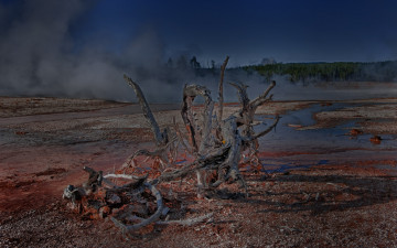 Картинка природа стихия коряга горячее озеро испарения красная почва лес
