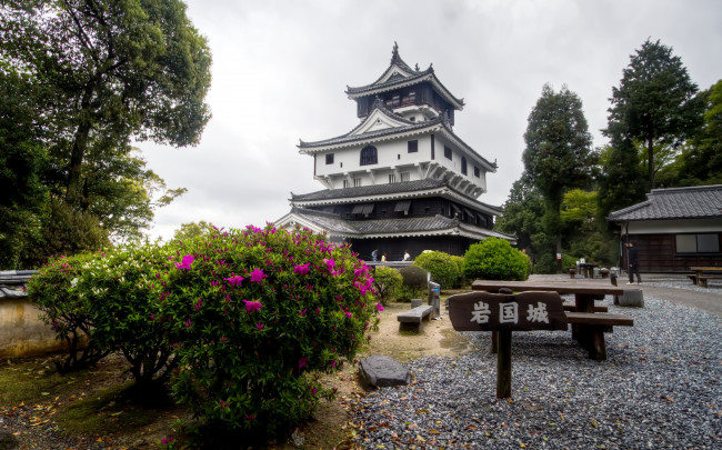 Обои картинки фото замок, ивакуни, города, замки, Японии, пагода, парк