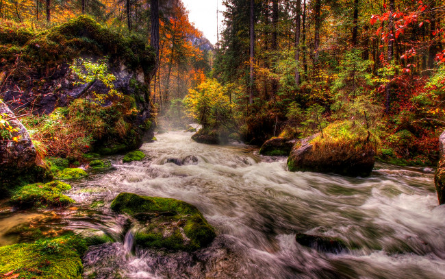 Обои картинки фото autumn, природа, реки, озера, поток, осень, река, лес
