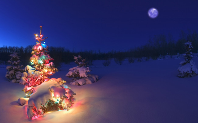 Обои картинки фото christmas, праздничные, Ёлки, украшения, елка, рождество