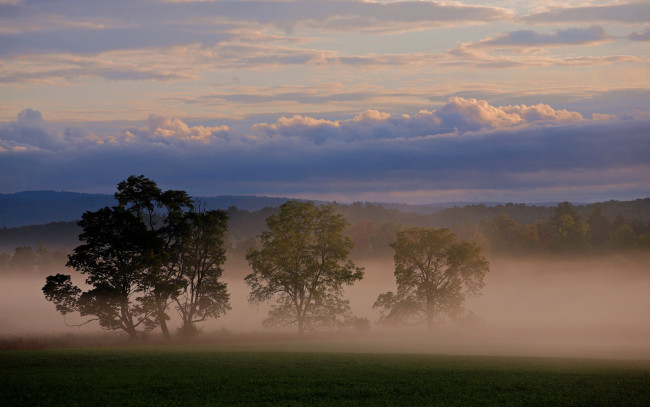 Обои картинки фото туман, природа, деревья, тишина, поле