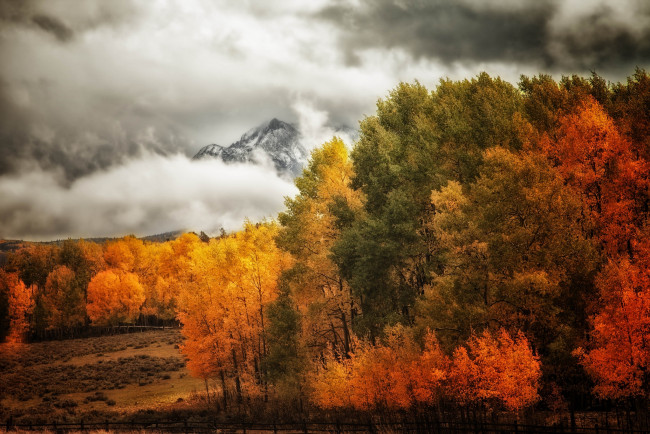 Обои картинки фото природа, лес, деревья, осень, горы