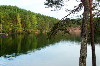 Картинка семиозерье карельский перешеек природа реки озера озеро лес трава