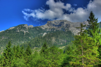 Картинка германия бавария природа горы лес облака