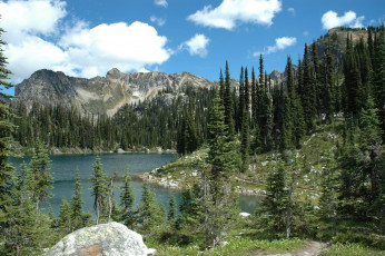 Картинка mount revelstoke national park canada природа горы ели озеро лес