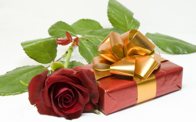 Обои картинки фото праздничные, подарки, коробочки, бантик, подарок, роза